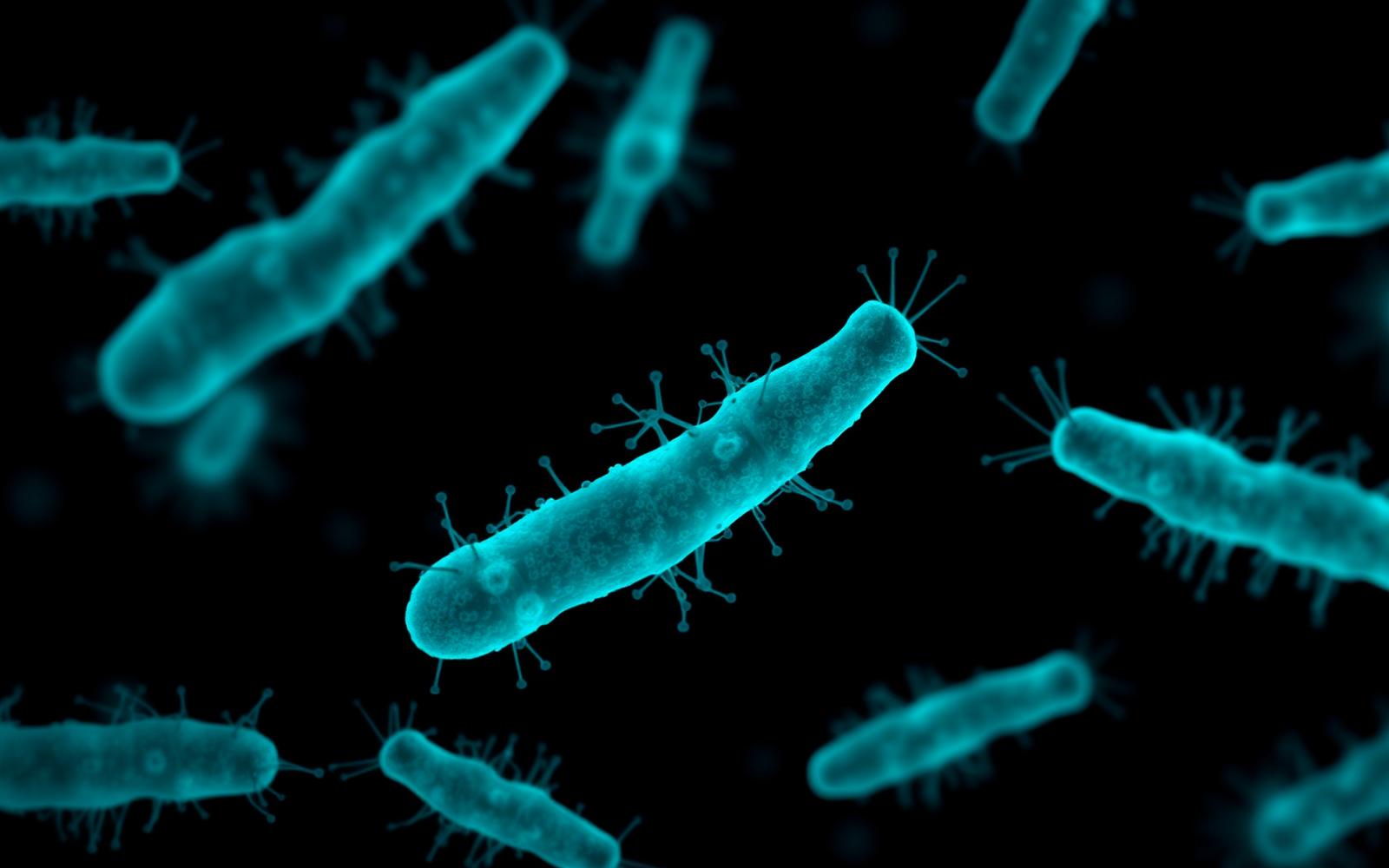 Microbiome imagery